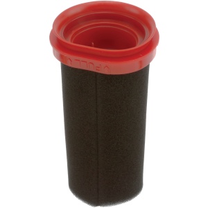 Filtro polvere salvamotore